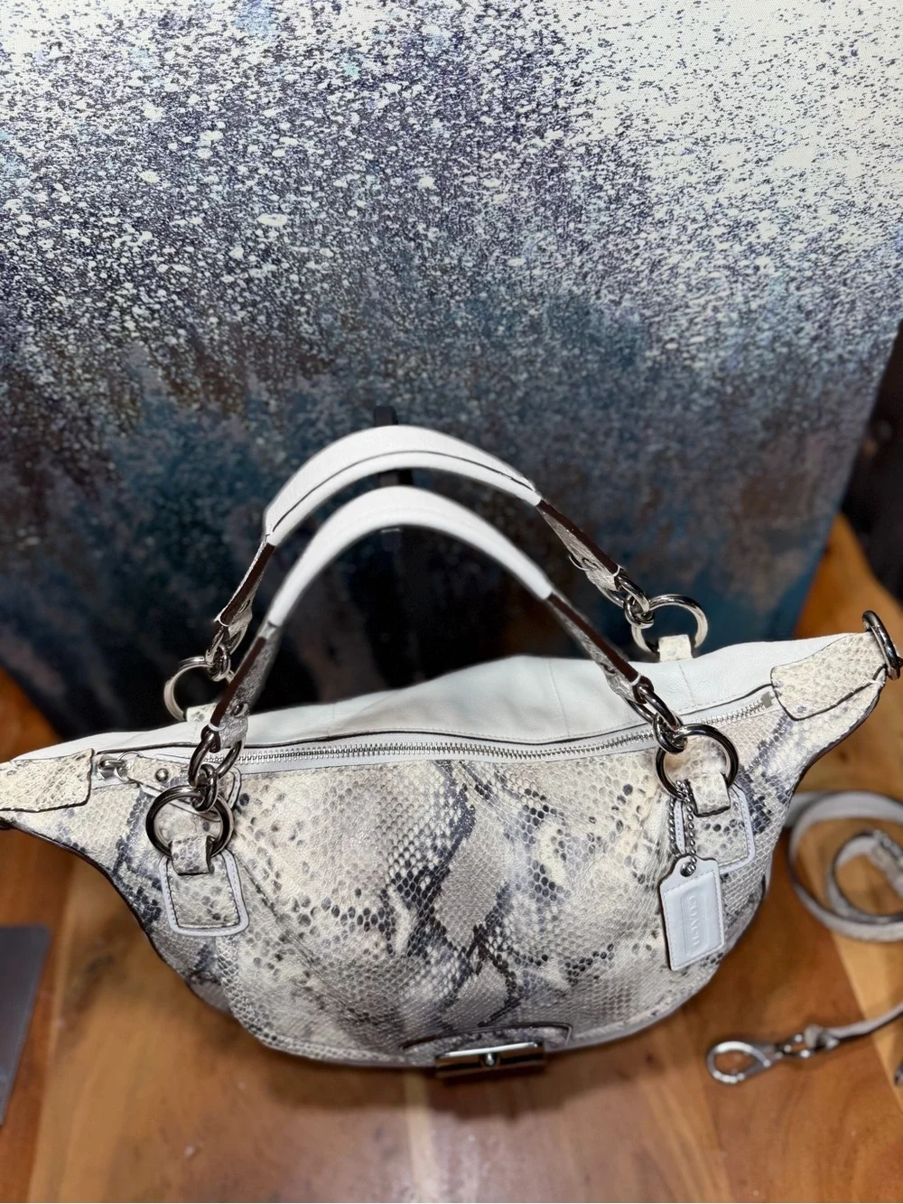 Coach Rare 2011 Kristin Python Embossed‎ Leather Convertible Hobo Bag EUC